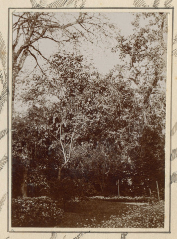 Jardin (photo n°64)