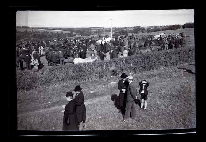 Foire Saint-Gilles. Marché aux bestiaux à Condé-sur-Noireau, par Robert Desaunay (photos n°388 à 403)