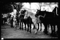 La foire Saint-Ursin (photo n°260)