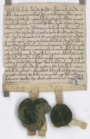 Fig. 21. Jean de Solenges