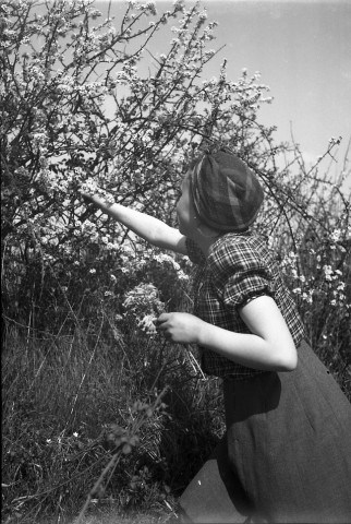 La famille Dangoisse en promenade (photos n°20 à 29)