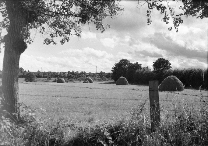 Meules de foin ou de paille dans les champs, moissons (photos n°548 à 560)