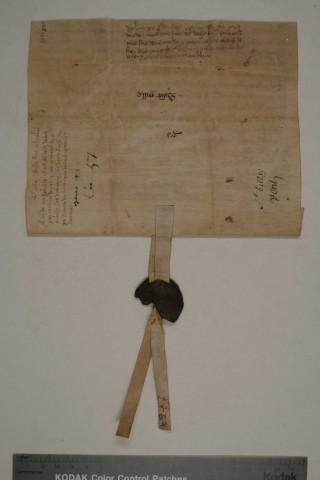 Meslenie, fille de Philippe de Pois, donne des rentes sur une maison dans la basse rue Saint-Gilles pour entretenir une lampe ardente sur l'autel Saint-Laurent