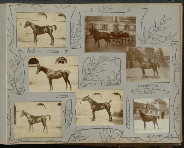 Ecole de dressage à Caen : Dressage de chevaux (photos n°451 à 456 ; 560 à 569) Carnaval, avril 1905 (photos n°570 à 578)