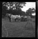 Normandie (1945-1960) (photos n°613 à 757)