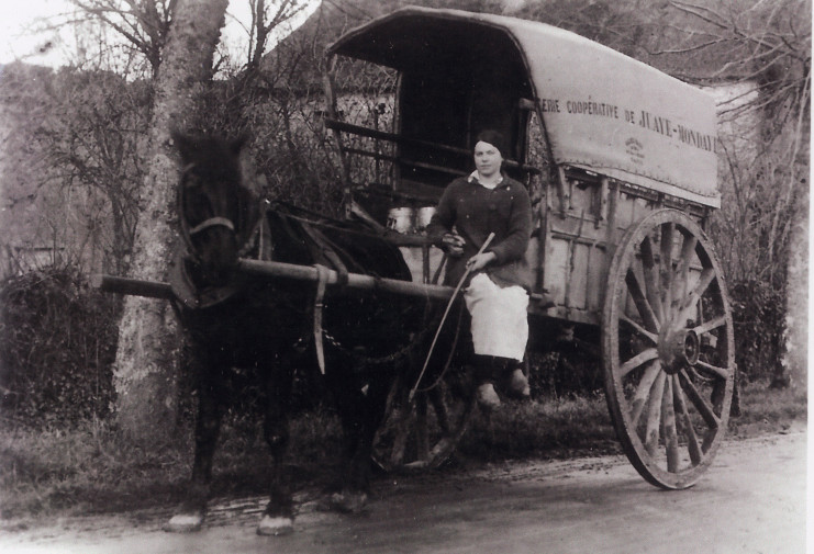 Une femme est assise sur une charrette tractée par un cheval.