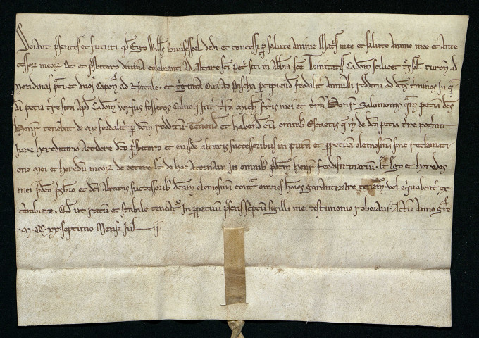 Don de Guillaume de Bruisespel à la chapelle Saint-Pierre de trois sols tournois, deux chapons et trente œufs par an assis sur ses terres de Caen.