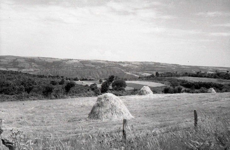 Meules de foin ou de paille dans les champs, moissons (photos n°548 à 560)