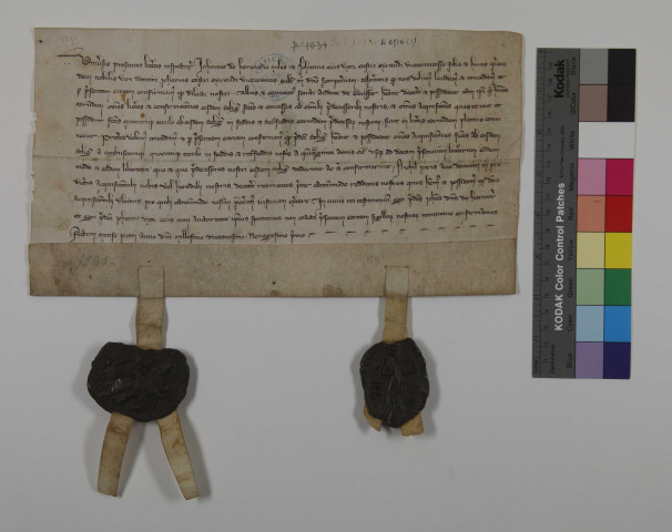 Jean de Harcourt et sa femme Jeanne, vicomtesse de Châtellerault, confirment les donations de l'abbaye. L'acte porte leurs sceaux très bien conservés.