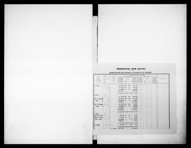 matrice cadastrale des propriétés non bâties