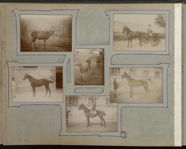 Ecole de dressage à Caen : Dressage de chevaux (photos n°451 à 456 ; 560 à 569) Carnaval, avril 1905 (photos n°570 à 578)
