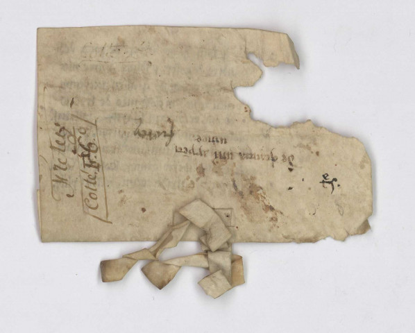 Fretay (Saint-Thibaut de)