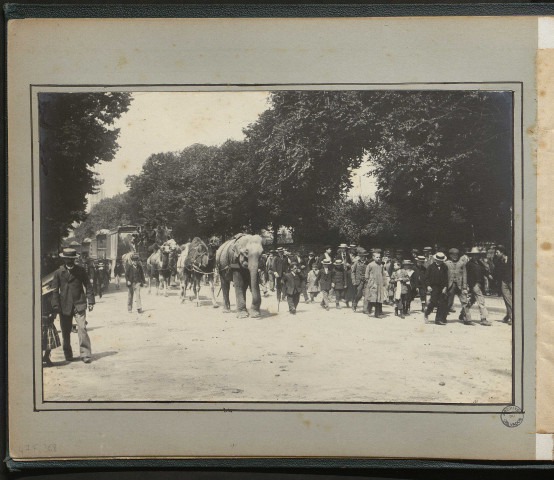 Album photographique illustré.
Aunay-sur-Odon, Caen, Combray, Condé-sur-Noireau, Fleury, Hermanville, La Hoguette, Lisieux, Luc, May-sur-Orne, Le Molay-Littry, Soumont-Saint-Quentin (La Brèche-au-Diable), Thaon, Thury-Harcourt, Trois-Monts, Trouville, Vaubadon, Le Vey, vallée de l'Orne (La Serverie), Suisse Normande, La Haye-du-Puits (Manche), Saint-Céneri (La Pierre Bécku, Sarthe), Saint-Léonard (Sarthe), vallée de la Sarthe, Fontainebleau, voyage en France (vallée de Sancy).
Monuments et architecture ; paysages ; scènes de vie, familiale, de rue, de village et agricole ; fêtes, carnaval des étudiants, fêtes nautiques, fêtes du souvenir normand, fêtes de la mine, fêtes de la gymnastique, kermesse, cirque Pinder, Buffalo Bill ; concours hippiques, de dressage et courses ; port, marine, plage et baignade ; armée et grandes manoeuvres ; peinture sur le motif, Thurin ; hiver ; inondation ; visite Clémenceau-Picard ; gare ; hiver ; fanfare, musicien ; aviron