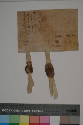 Acte des abbés d'Aunay, Barbery et Saint-André-en-Gouffern reproduisant une bulle de Grégoire IX