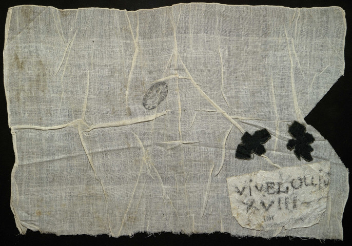 Remplacement du drapeau blanc par le drapeau tricolore