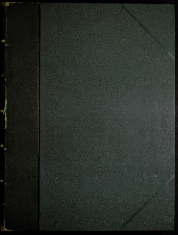 Photographies d'architecture, villas et chalets pittoresques, par Albert Lévy photographe, Ducher éditeur