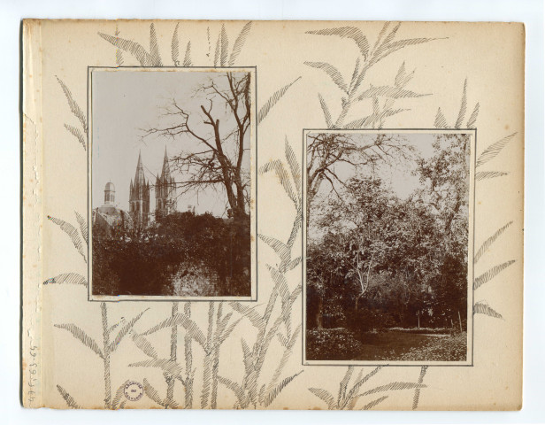 Jardin (photo n°64)