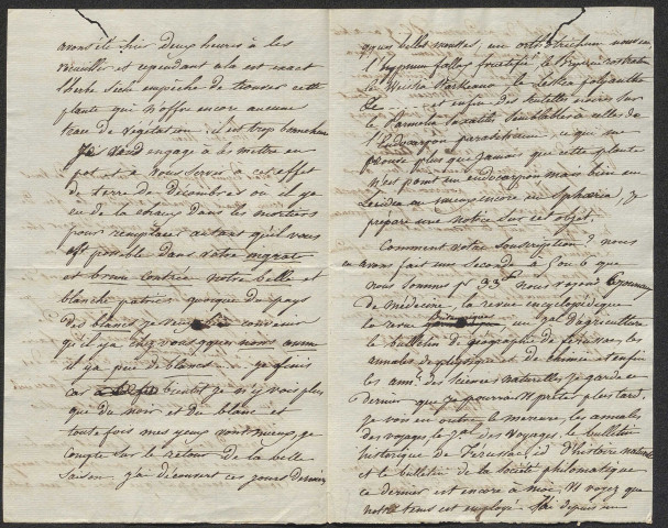 Lettres de Brébisson à Lenormand de 1826 à 1830 (lettres n°33 à 59 )