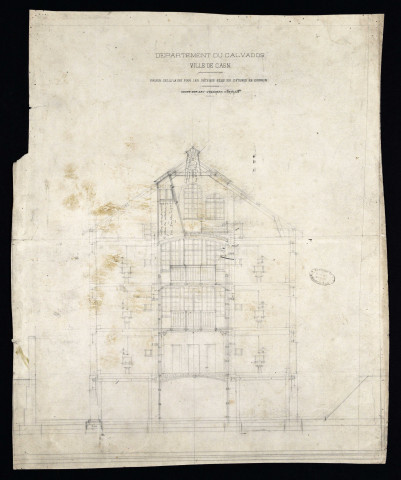 Coupe transversale sur les cellules