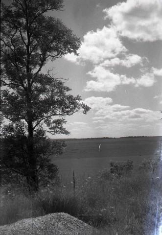Falaise : campagne près de la Route de Saint-Pierre sur Dives (photos n°724 à 730)