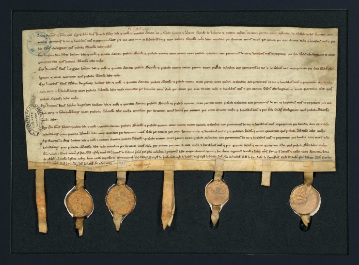 Photographie d'une charte avec sept sceaux de seigneurs anglais