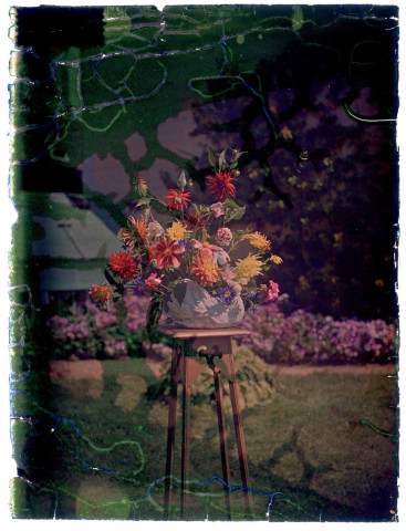 Autochromes : expérimentations photographiques, Théodore Levaltier et sa femme (?), bouquets de fleurs, jardin botanique de Bayeux