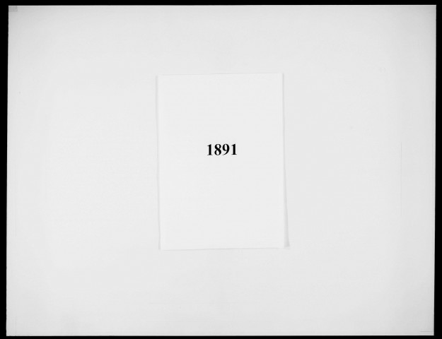 1891