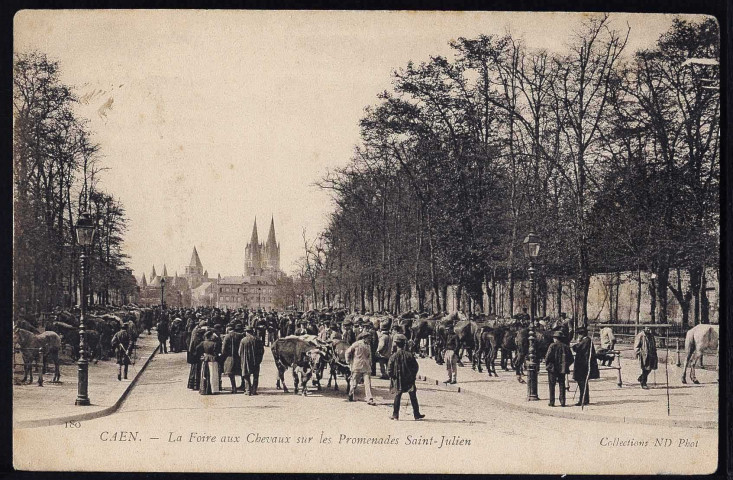 Marché place Saint-Sauveur (n°3120) Foire aux chevaux et bestiaux des fossés Saint-Julien (n°3119, 3121 à 3122, 3125)