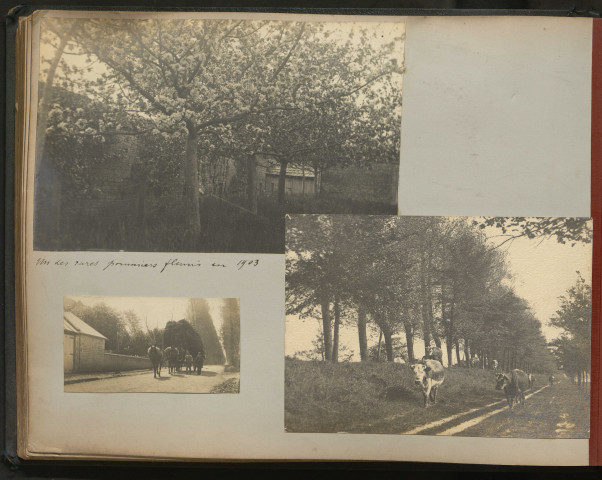 Promenade le long de l'Orne de Ouistreham à Ranville le 5 mai 1903 (avec mme Devaux), pommiers fleuris, vaches sur chemin de halage (pages 25 à 27).