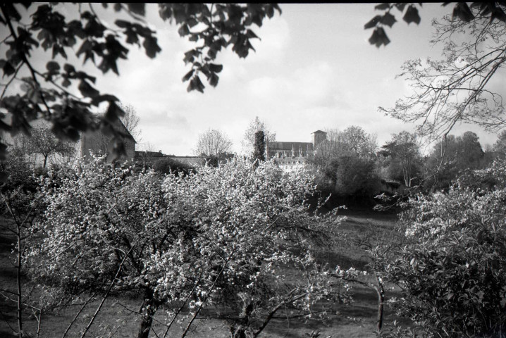 Eglise Saint-Gervais-Saint-Protais avec arbres en fleurs (photo n°25)