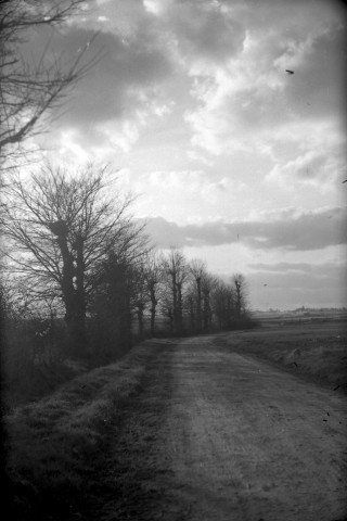 Villy-lez-Falaise : campagne et chemins (photos n°807 à 814)