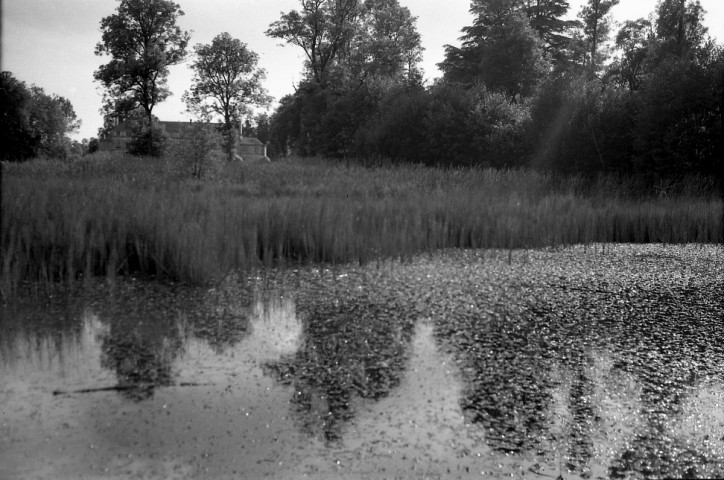 Meslay : étang (photo n°692)