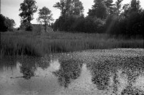 Meslay : étang (photo n°692)