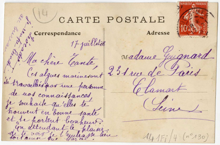 Algues de la plage de Luc-sur-Mer collées sur des cartes postales (n°130 et 131)