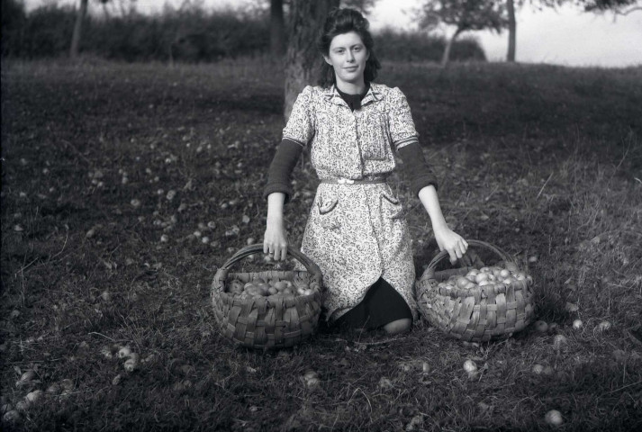 Ramassage des pommes, fauchage, labourage, meules de foin et de paille, moissons (photos n°465 à 509)
