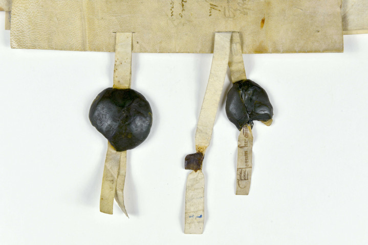 Figure 39. Guillaume des Vallées