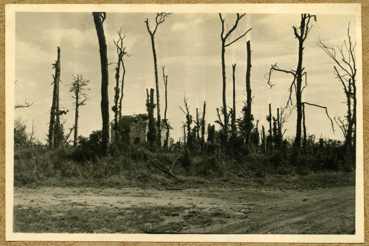 Vue d'un château ou d'un manoir détruit non identifié (photos 15, 16 et 49).