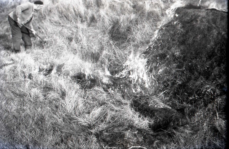 Brûlage, ramassage de foin et de pommes de terre (?) (photos n°30 à 41)
