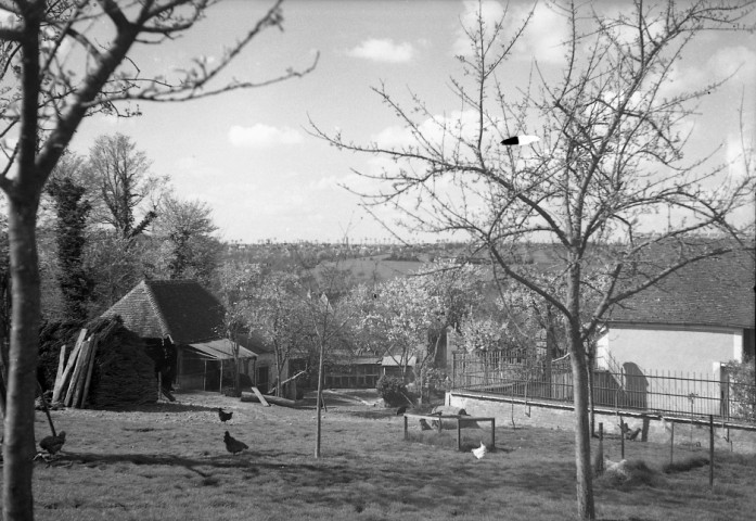 Versainville : château, arbres en fleurs, ferme, sous-bois (photos n° 776 à 792)