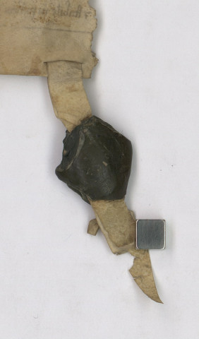 Figure 19. Henri Begort, bourgeois de Bayeux, sceau original figurant un poisson