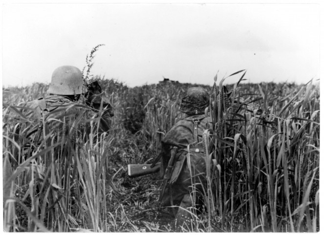 Une formation d'artillerie observe l'ennemi (photo 313)