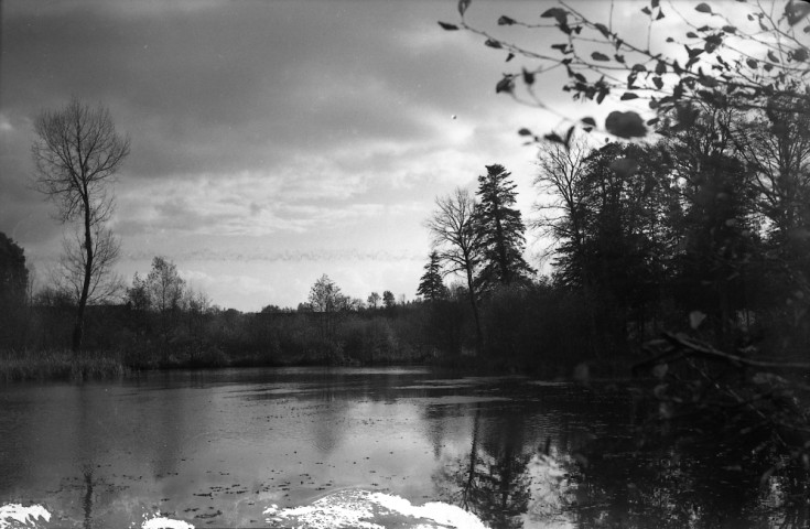 Pertheville-Ners : étang (photos n°712 à 718)