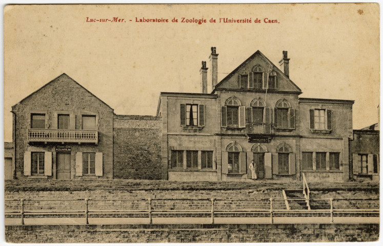 Squelette de la Baleine de Luc (à Caen puis à Luc), Maison de la Baleine et Laboratoire de zoologie de l'Université de Caen à Luc (n°67 à 87)