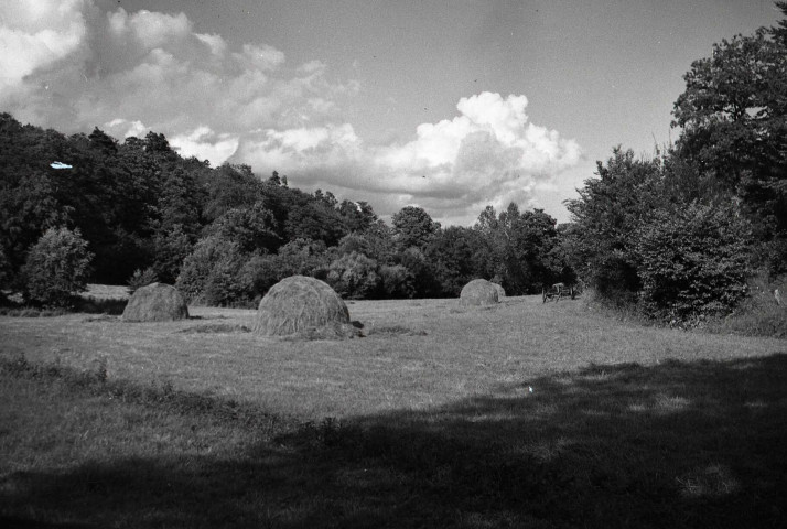 Meules de foin ou de paille dans les champs, moissons (photos n°548 à 560)
