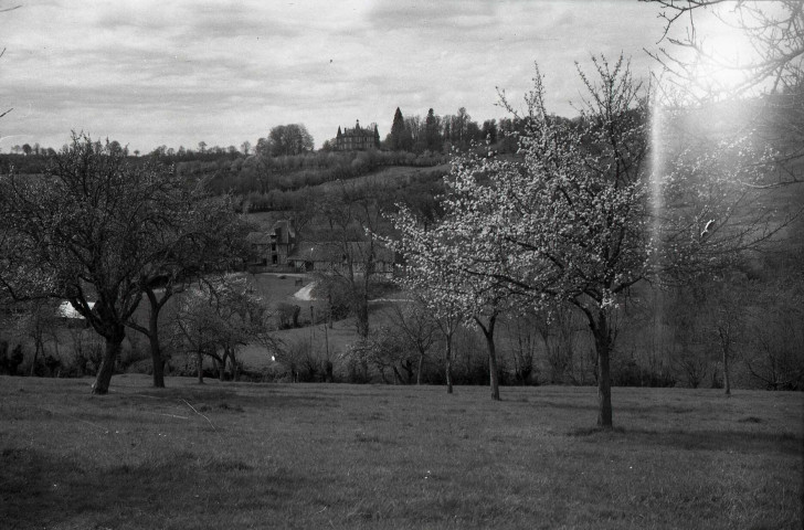 Livarot : ferme et pommiers (photos n°822 à 824)