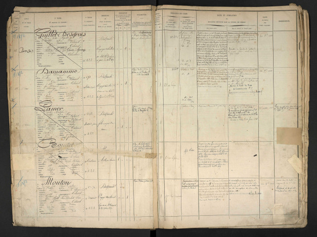 Mouton, Georges Jules Robert Gustave