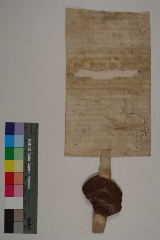 Jean comte de Ponthieu confirme la donation faite par le prêtre de Crocy