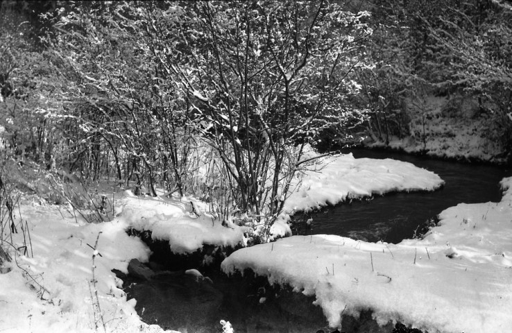 Paysages enneigés, pommiers en fleurs, chrysanthèmes du monument aux morts du jardin public de Falaise (photos n°1083 à 1099)