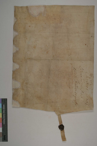 Copie d'une charte de Guillaume comte de Ponthieu confirmant les biens de l'abbaye