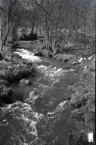 Rivière, blés et arbre enneigé (probablement à Falaise) (photos n°43 à 46)